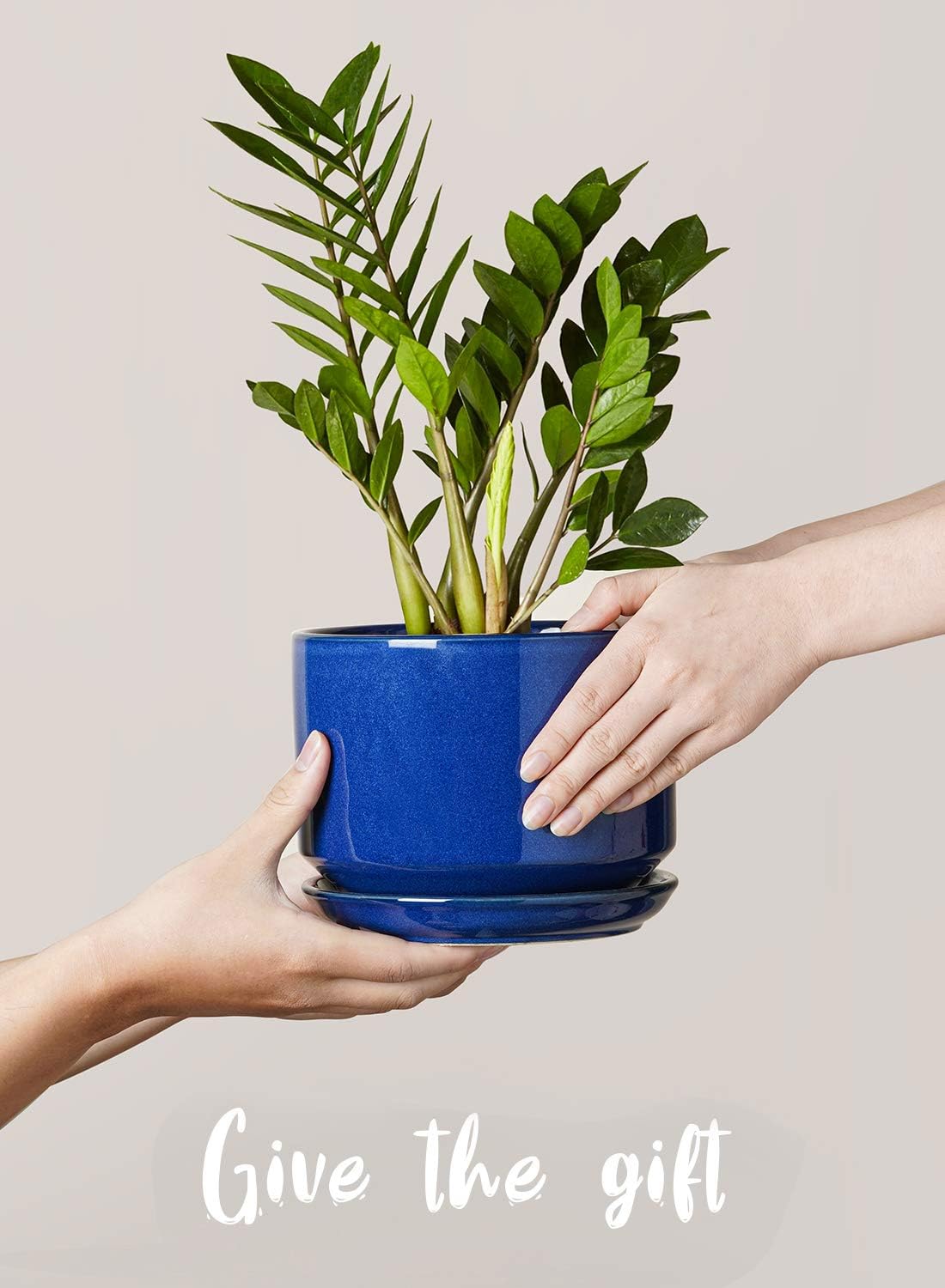 Thumbnail 6 de LE TAUCI 11+13+17 cm ceramic plant pots set 🌱