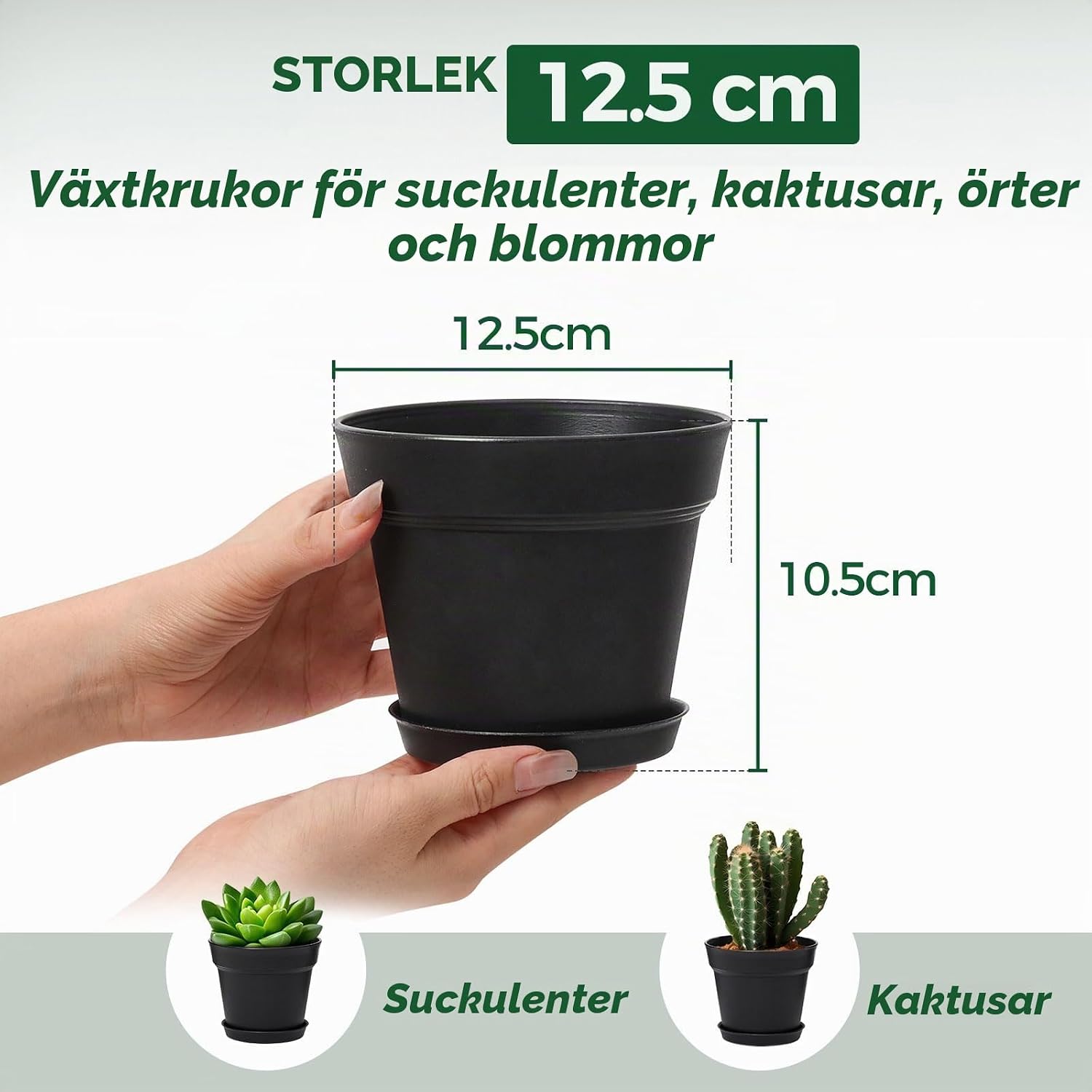 Detalle de T4U blomkrukor 12,5 cm, 6-pack med fat och dräneringshål, svarta