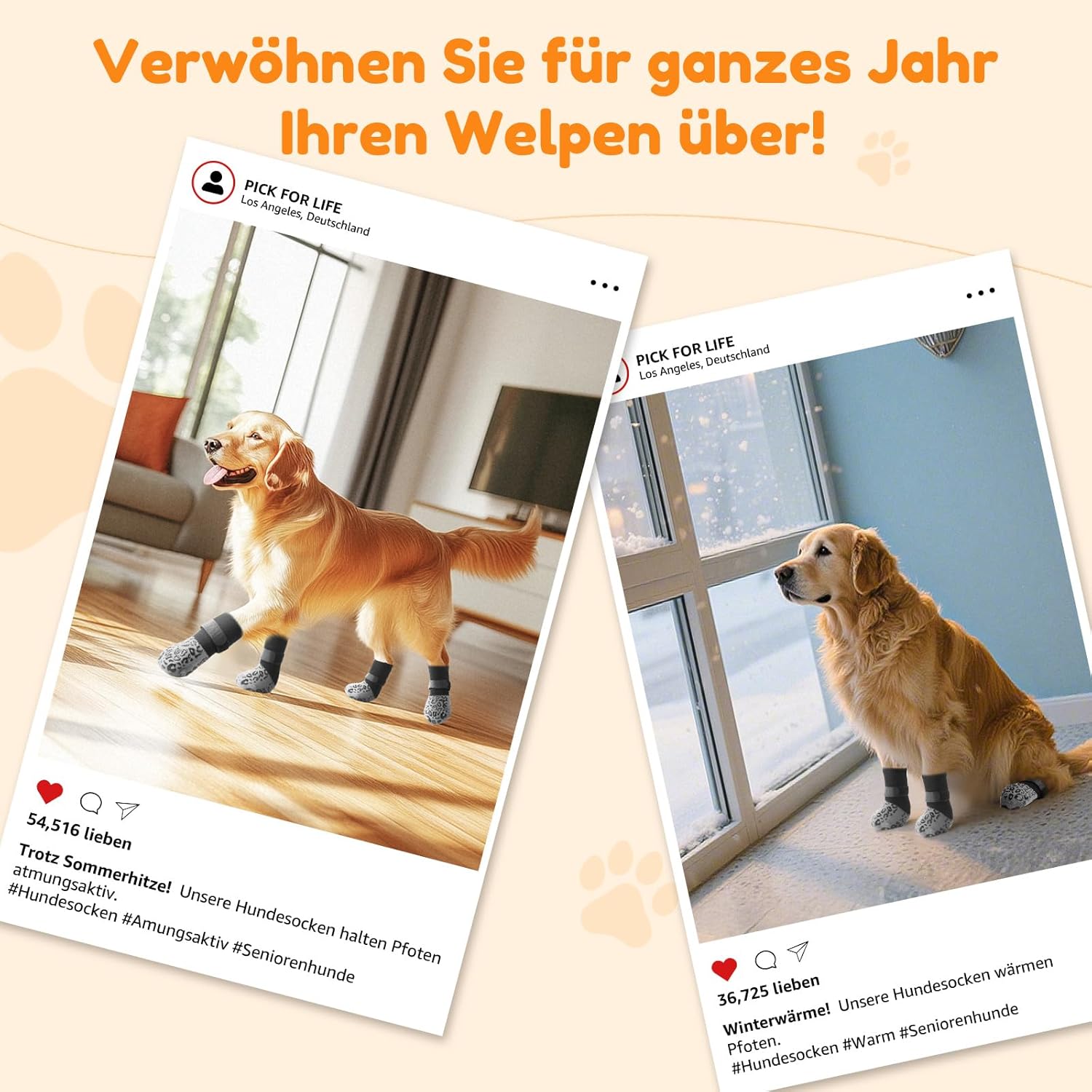 Thumbnail 6 de PICK FOR LIFE Hundesocken Anti-Rutsch L Grau