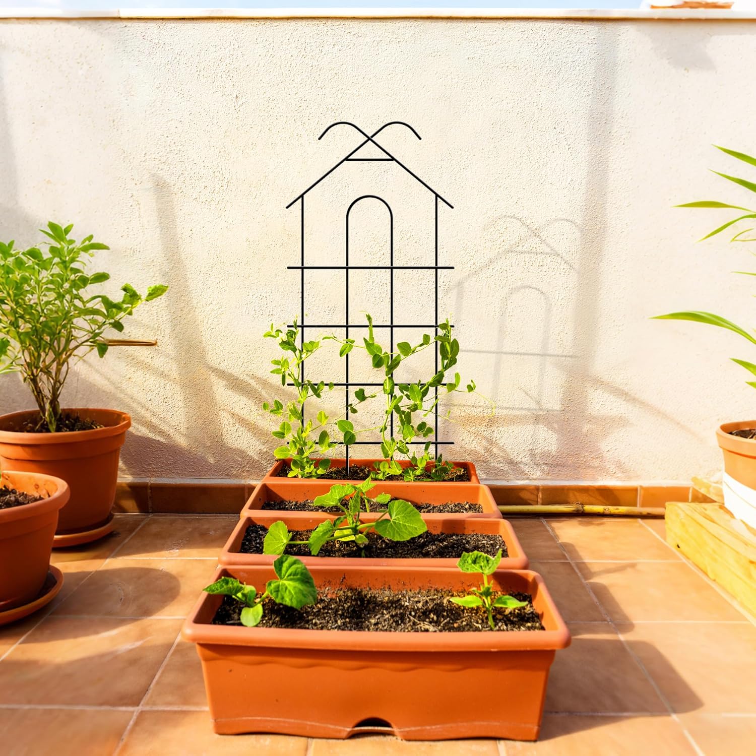 Detalle de ARIFARO Garden Trellis 32 inch (81 cm) – 4 Pack of Rust-Resistant Metal Plant Trellis