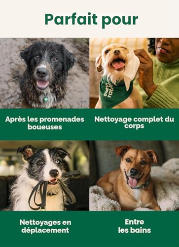 Thumbnail 6 de Earth Rated Lingettes hypoallergéniques pour Chiens – Nettoyantes et Anti-odeurs, sans parfum, 100 lingettes