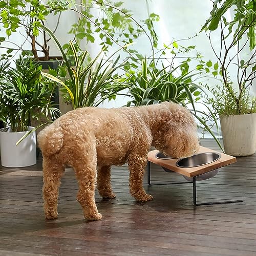 Detalle de FUKUMARU Comedero Elevado para Gatos y Cachorros – Cuenco Ajustable en Acero Inoxidable con Soporte de Madera