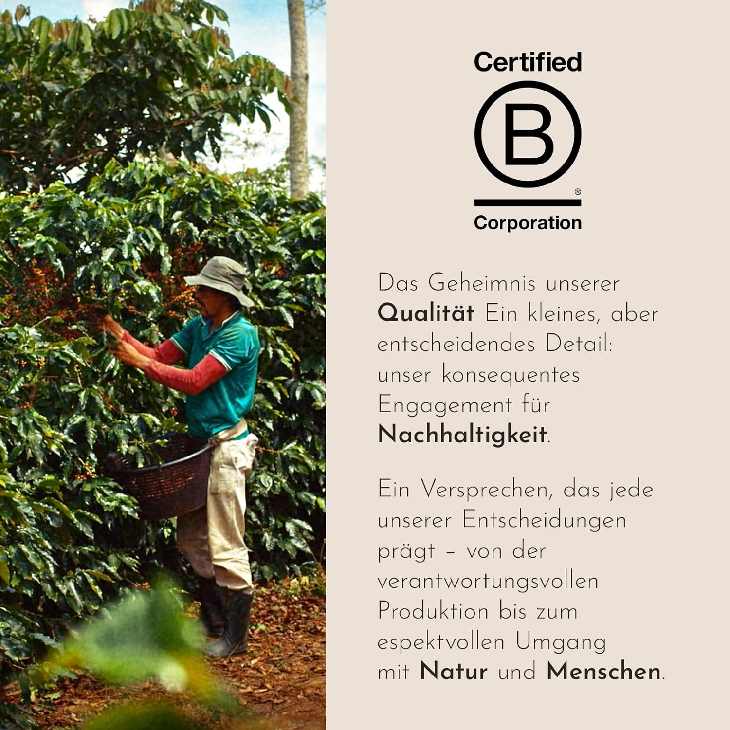 Detalle de illy Gemahlener Kaffee für Espresso Arabica Selection Brasile Cerrado Mineiro – 250 g