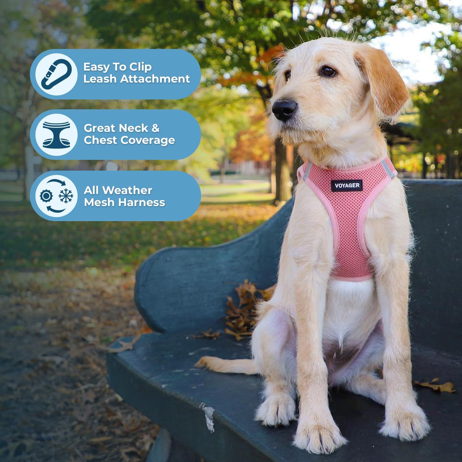 Detalle 1 de Best Pet Supplies Step-In Dog Harness Small