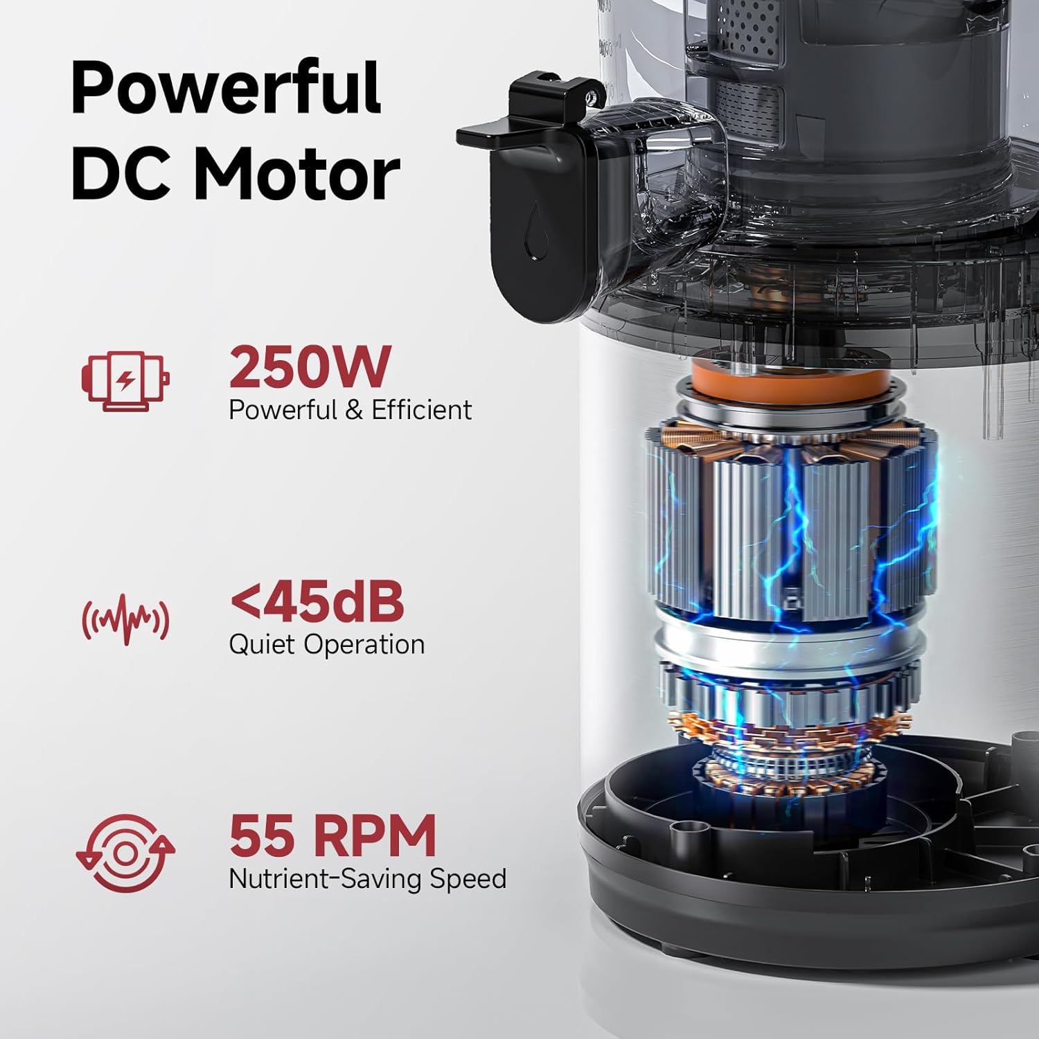 Detalle de AMZCHEF Slow Juicer 160mm 2L