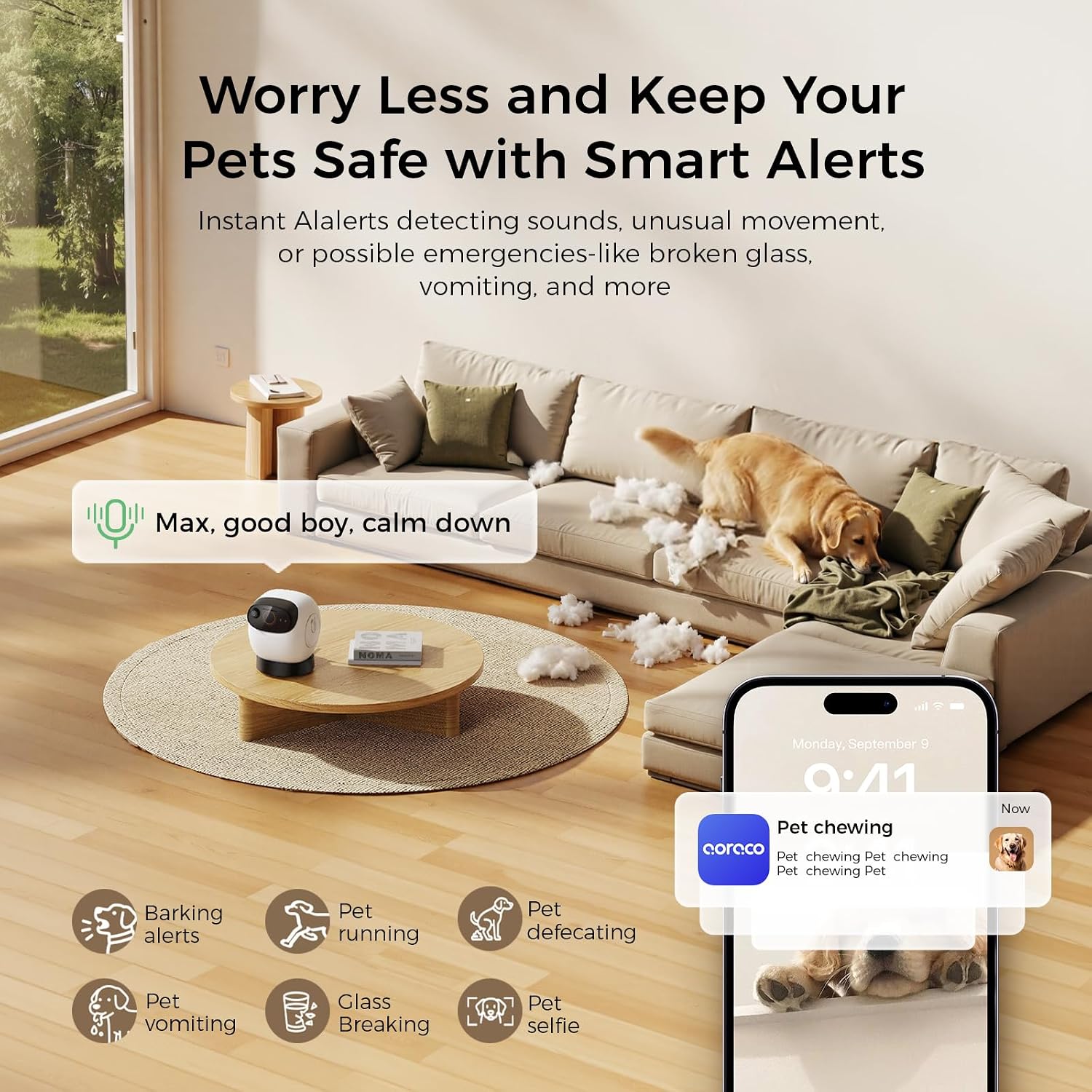 Detalle de Pet camera treat dispenser, 3K