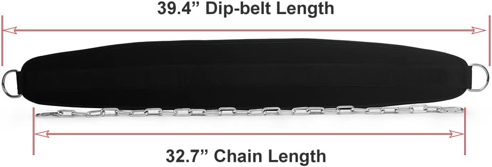 Detalle de HemeraPhit Gewichtete Klimmzug Dips GĂŒrtel 90 kg đ