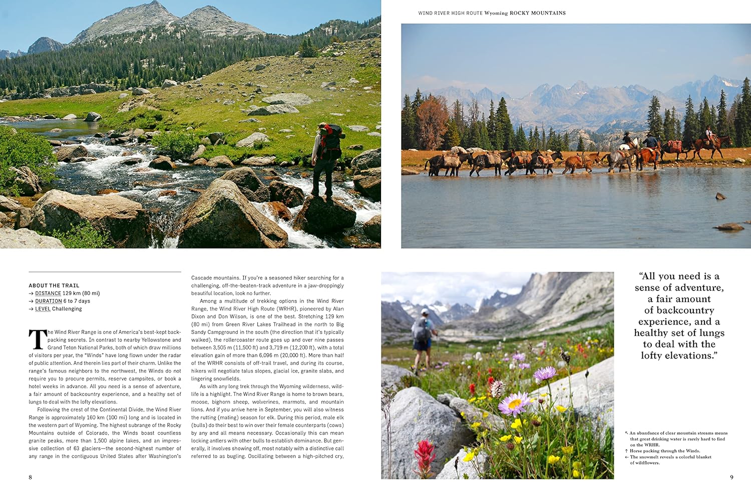 Thumbnail 2 de Wanderlust USA by Gestalten — The Great American Migration (Book, Silver Design)