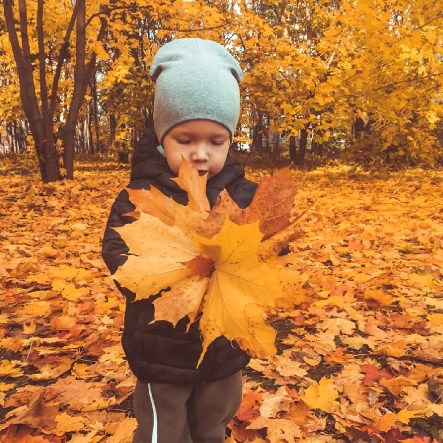 Thumbnail 6 de DRESHOW 6-pack baby beanies (newborn to toddler) soft cotton knit hats