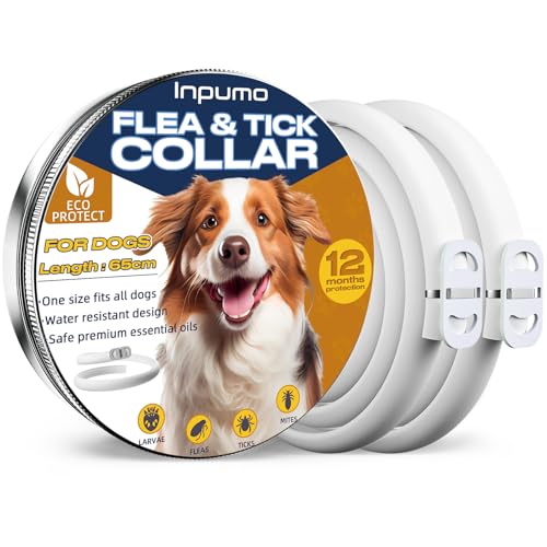 Inpumo collar antipulgas 12 meses