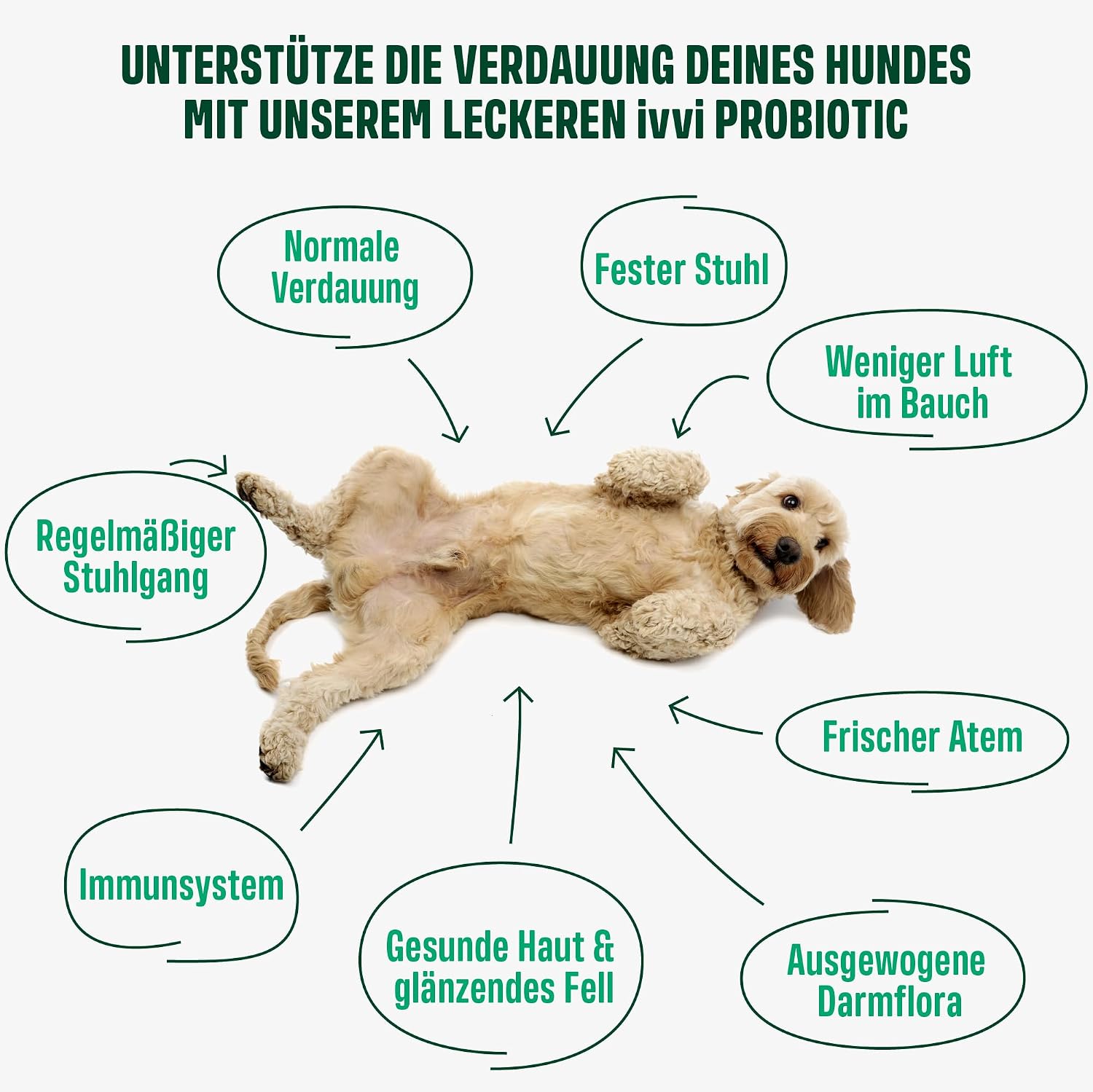 Detalle de ivvi PROBIOTIC Probiotika 60 Snacks für Hunde