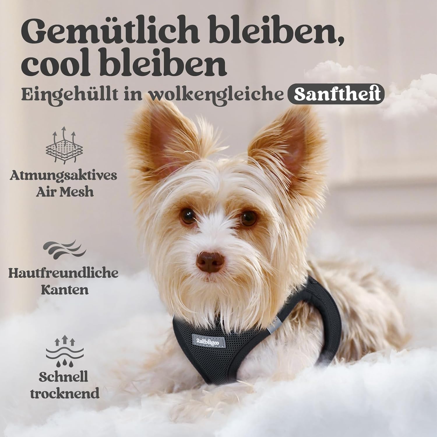 Detalle de rabbitgoo Hundegeschirr XS für kleine Hunde