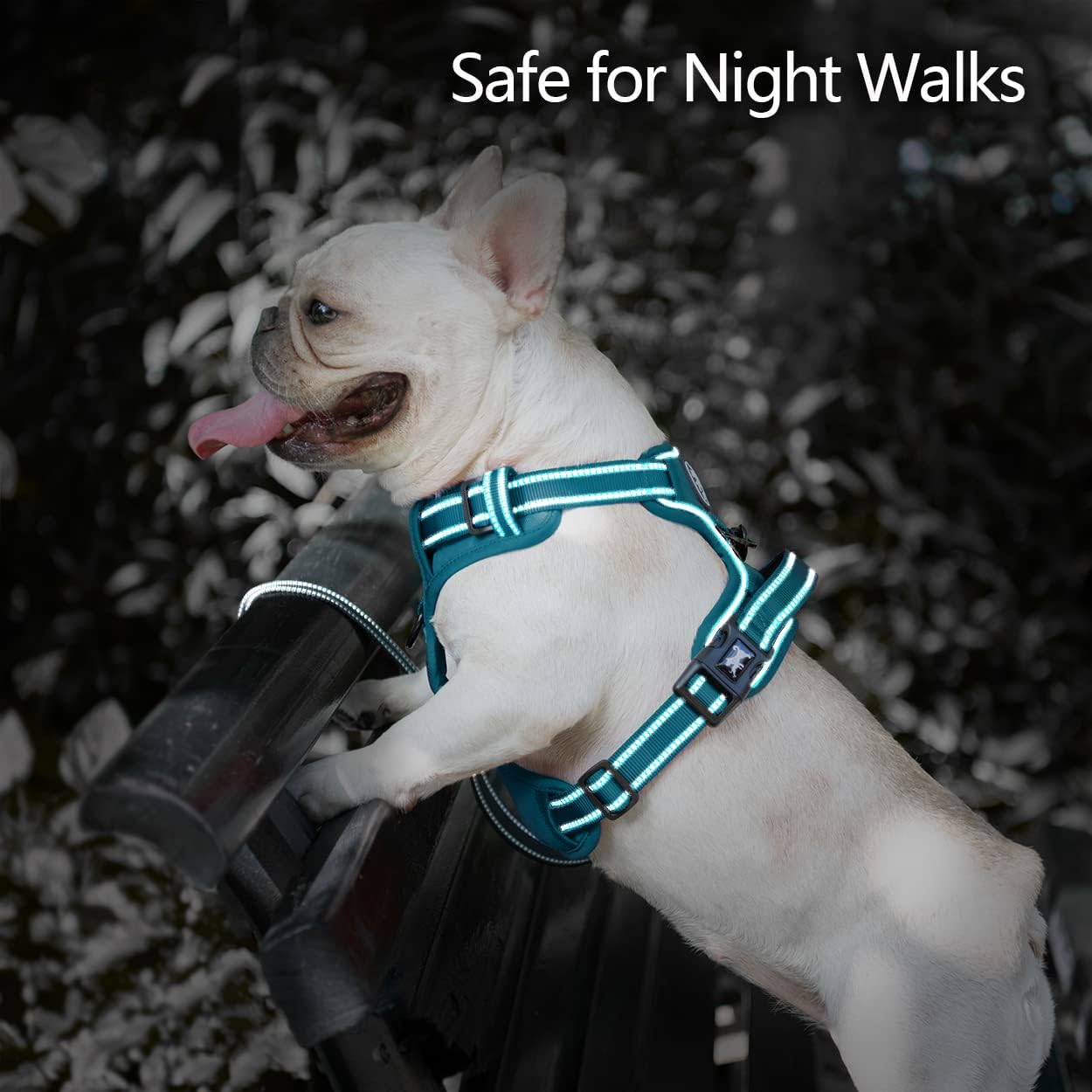 Detalle de PoyPet No Pull Dog Harness with Reflective Vest + Easy Control Handle (Tumalo Teal Trim, M)