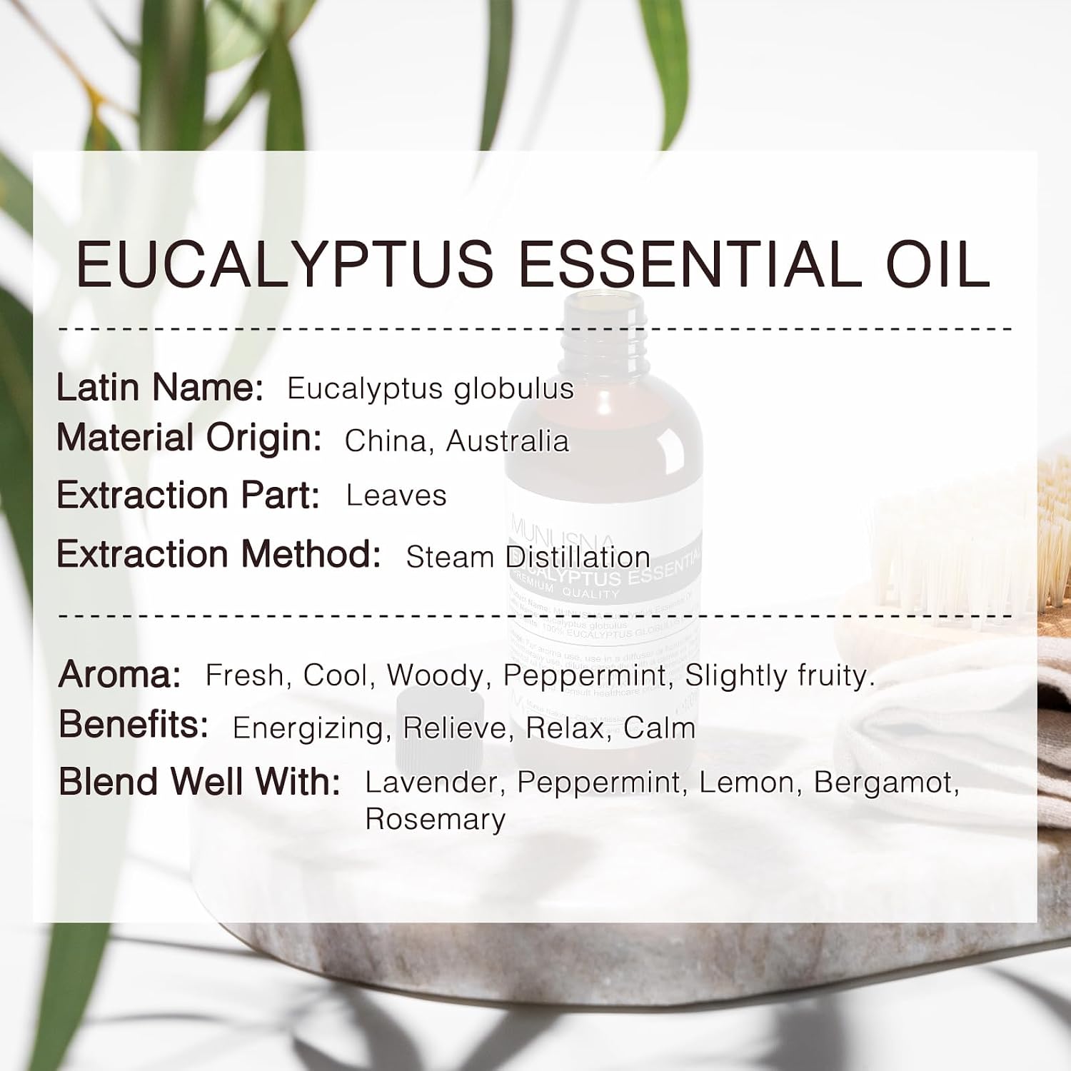 Thumbnail 1 de MUNUSNA Eucalyptus Essential Oil