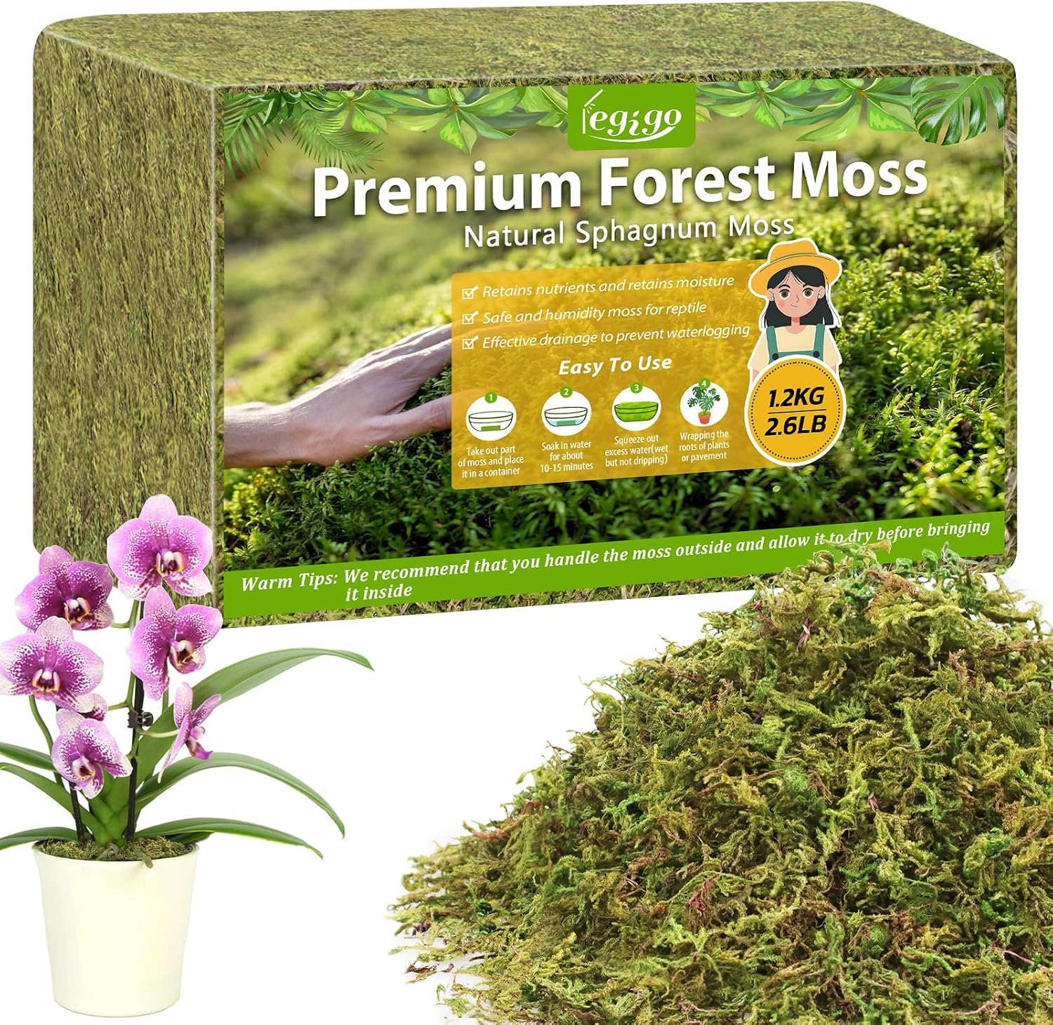Detalle de Legigo L-DE-Forest Moss-1.2kg Sphagnum Moss, Natural Long-Fiber Green