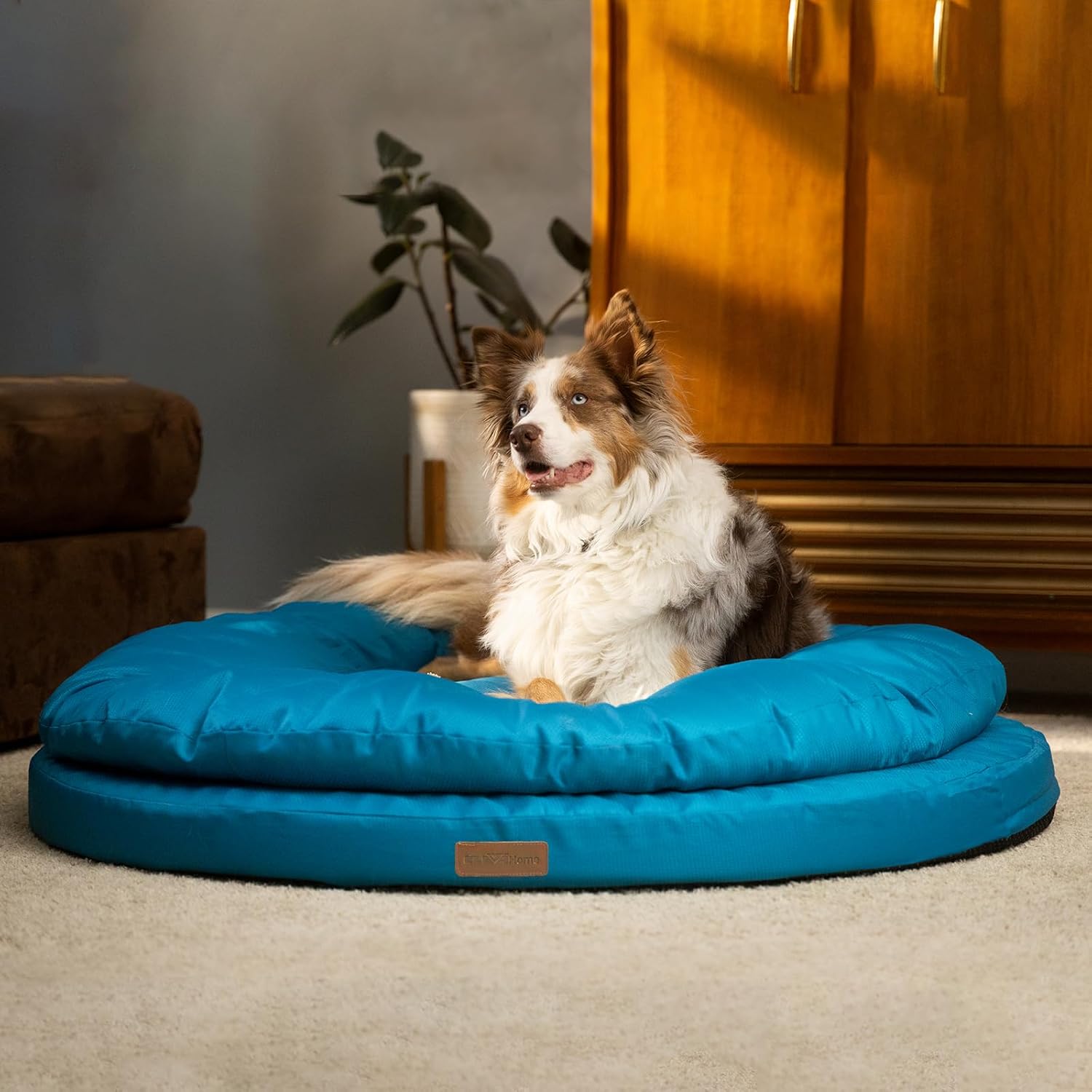 Detalle de ClevaHome Panier Orthopédique pour Chien – Rond, Coussin Double Couchage, Tissu Déperlant et Fond Antidérapant (Bleu Ardoise, XL)