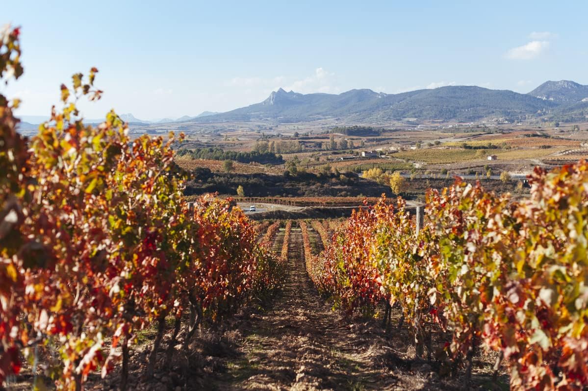 Detalle 1 de VIÑA POMAL Crianza 100% Tempranillo, Vino Tinto Rioja 🍷