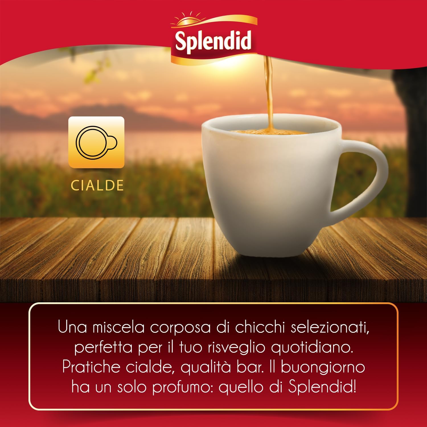 Detalle de Splendid Caffè in Cialde ESE – Intensità 12, 50 Cialde, Gusto Deciso e Aroma Tostato
