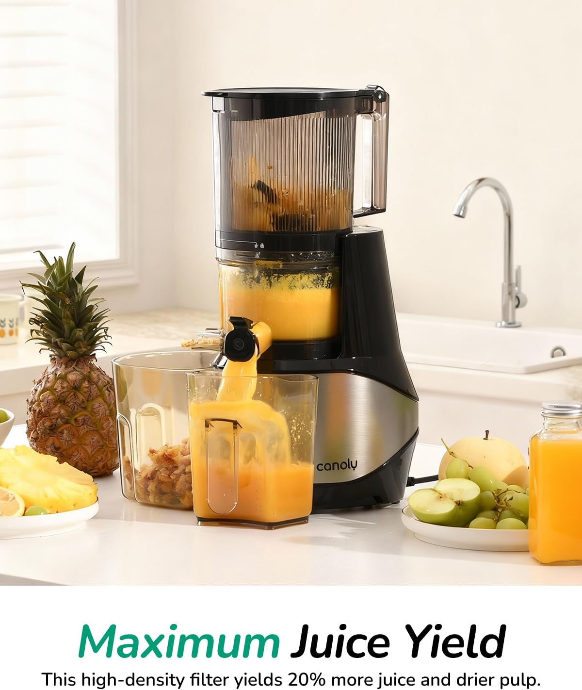Thumbnail 3 de Canoly C09 Cold Press Juicer (6” extra-wide chute, 3-in-1 strainers) for juice, sorbet, and nut milk