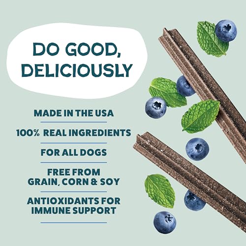 Detalle de Shameless Pets Blueberry & Mint Dental Chews for Dogs (8 Chews) – Grain-Free, Upcycled Health-Focused Dental Sticks