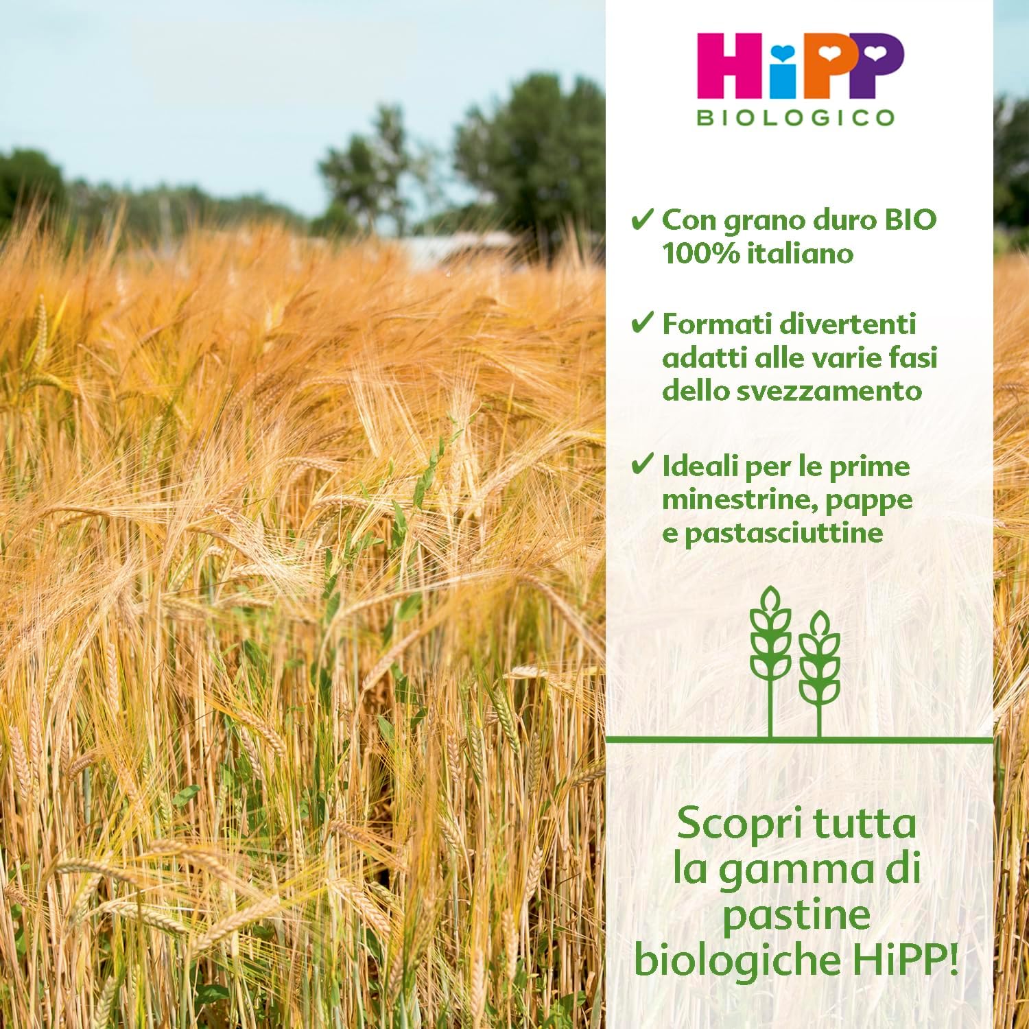 Detalle de HiPP Pastina Bio, Anellini – 12 Confezioni da 320 g (3840 g) – Biologico