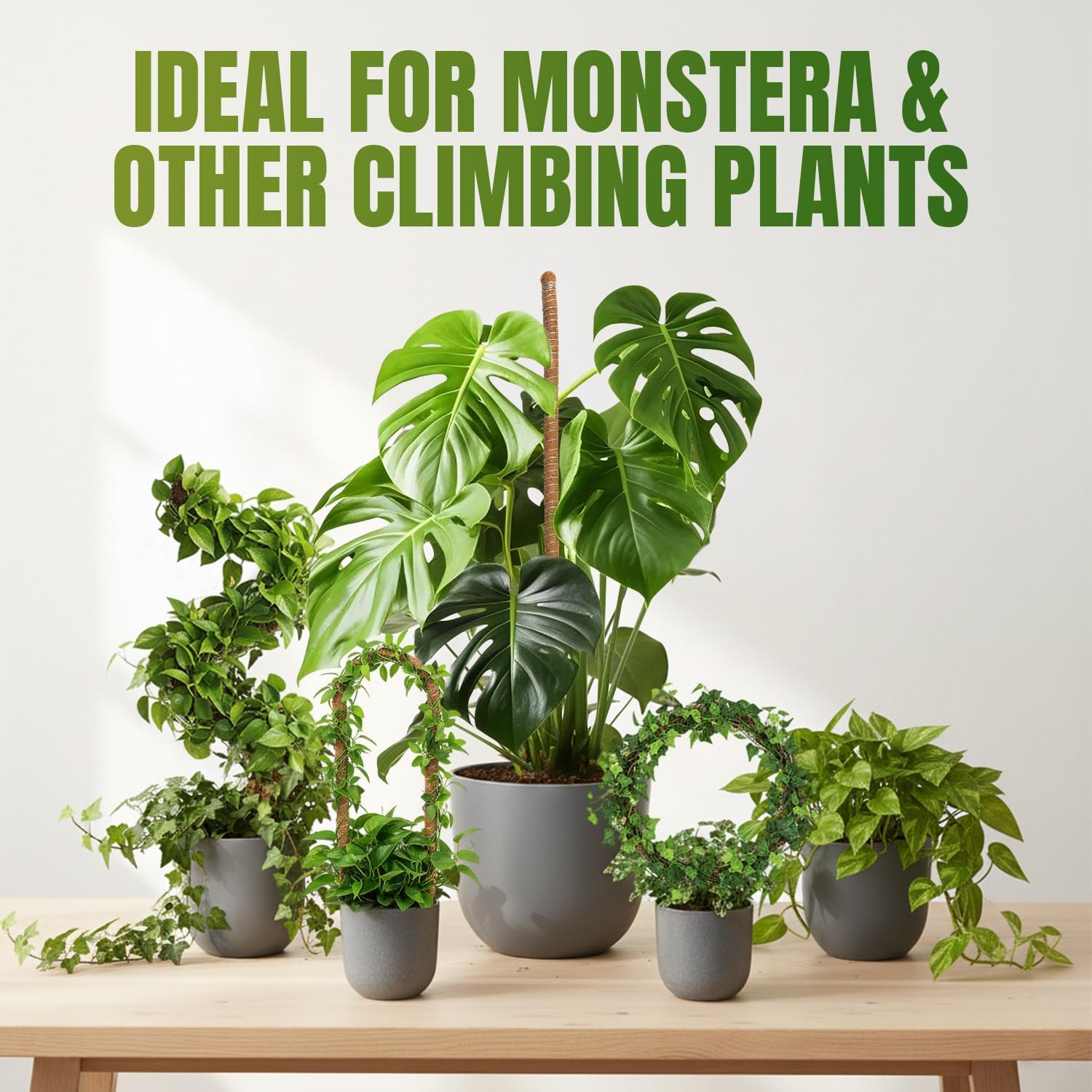 Thumbnail 2 de Mcbazel 2x120cm Tutor de plantas 120 cm