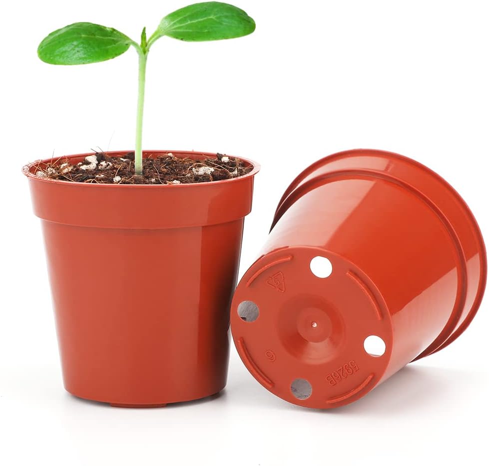 Detalle de Mini plastic plant pots 5.4cm, 50-pack