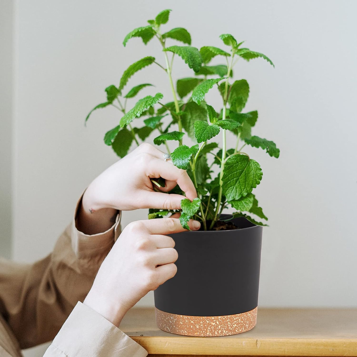Thumbnail 4 de QCQHDU 25.4cm plant pots, 2 pack