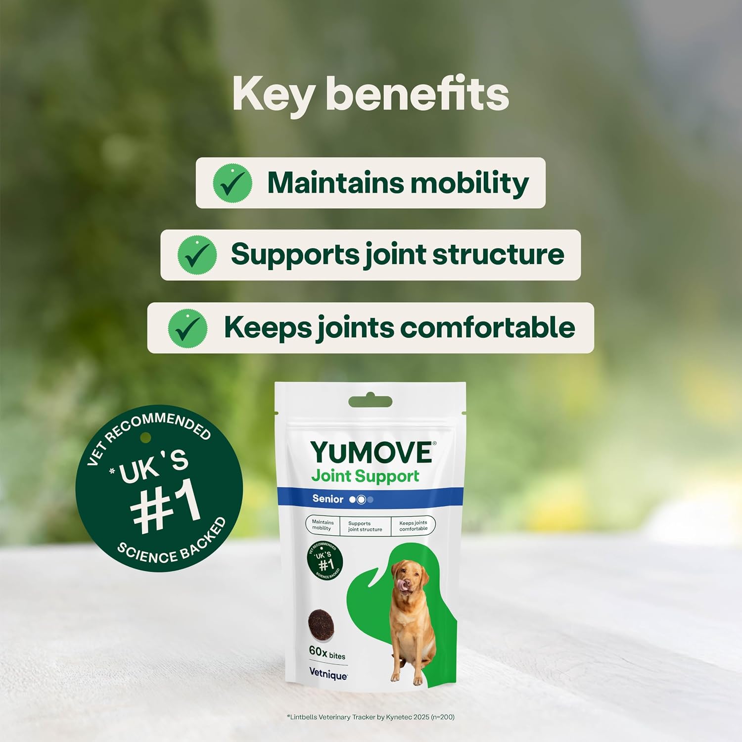 Detalle de YuMOVE Senior Dog Joint Supplement – Daily Bites for Joint Care (60 Chews) for Dogs 8+