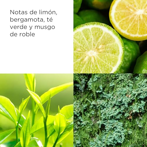 Thumbnail 4 de Elizabeth Arden Green Tea Loción corporal 500 ml