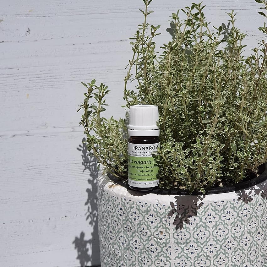 Thumbnail 1 de PRANAROM Tomillo Vulgar Ct Tuyanol 🌿 Aceite 10ml