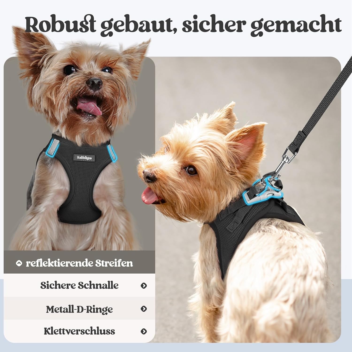 Detalle 1 de Rabbitgoo Hundegeschirr S mit Leine 1,56 m