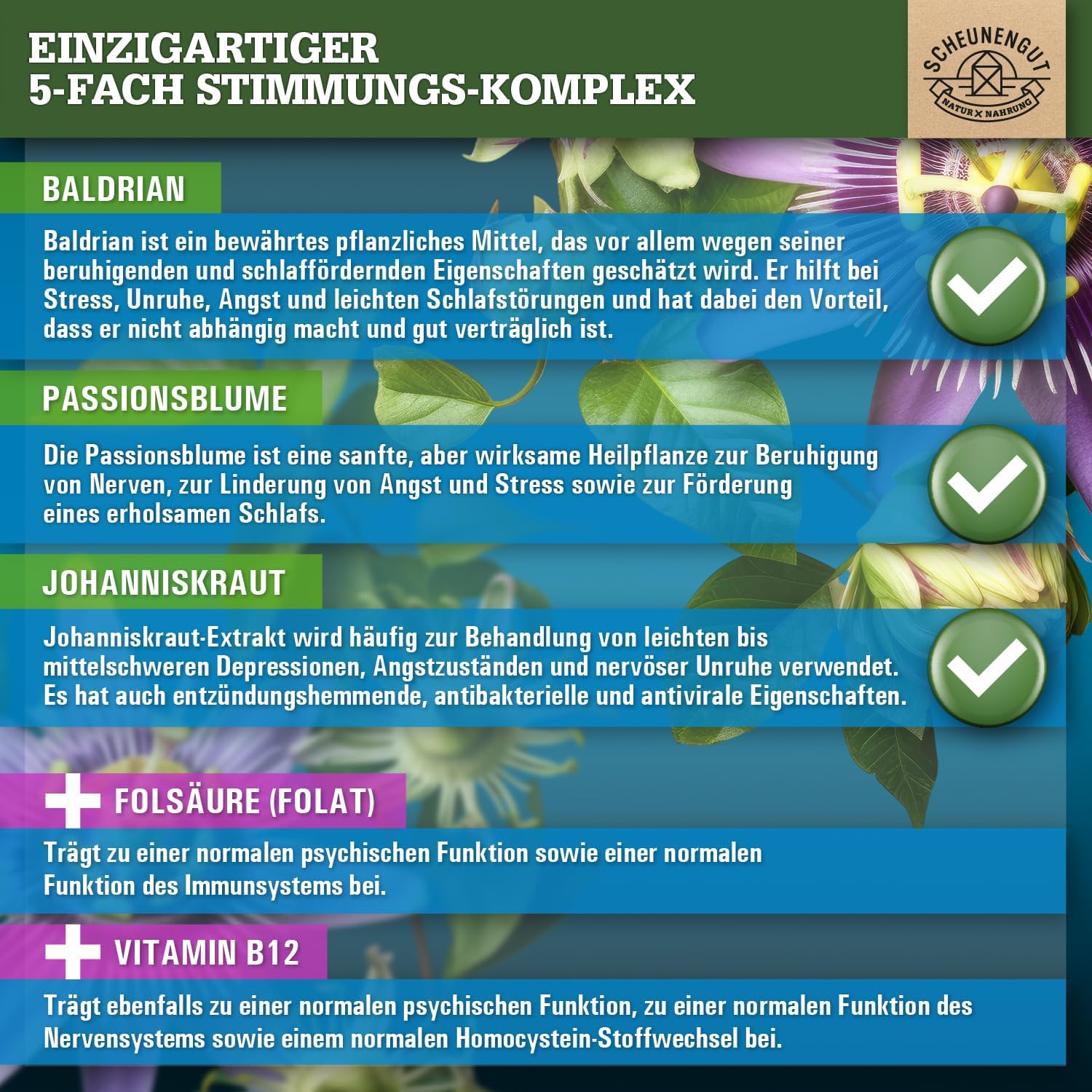 Thumbnail 2 de INNERE BALANCE® Passionsblume Johanniskraut Baldrian Hochdosiert – Laborgeprüfter Markenkomplex mit Hypericin, Hyperforin, Folsäure & Vitamin B12 (120 Kapseln)