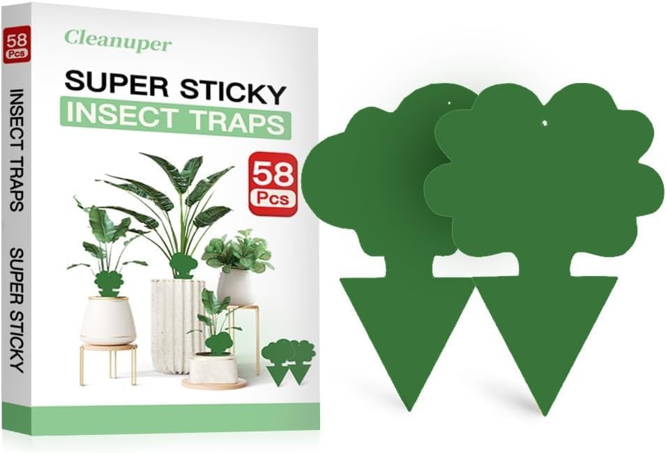Detalle de Cleanuper 58 green Gnat Sticky Traps, 58-Pack, Green Double-Sided Cards