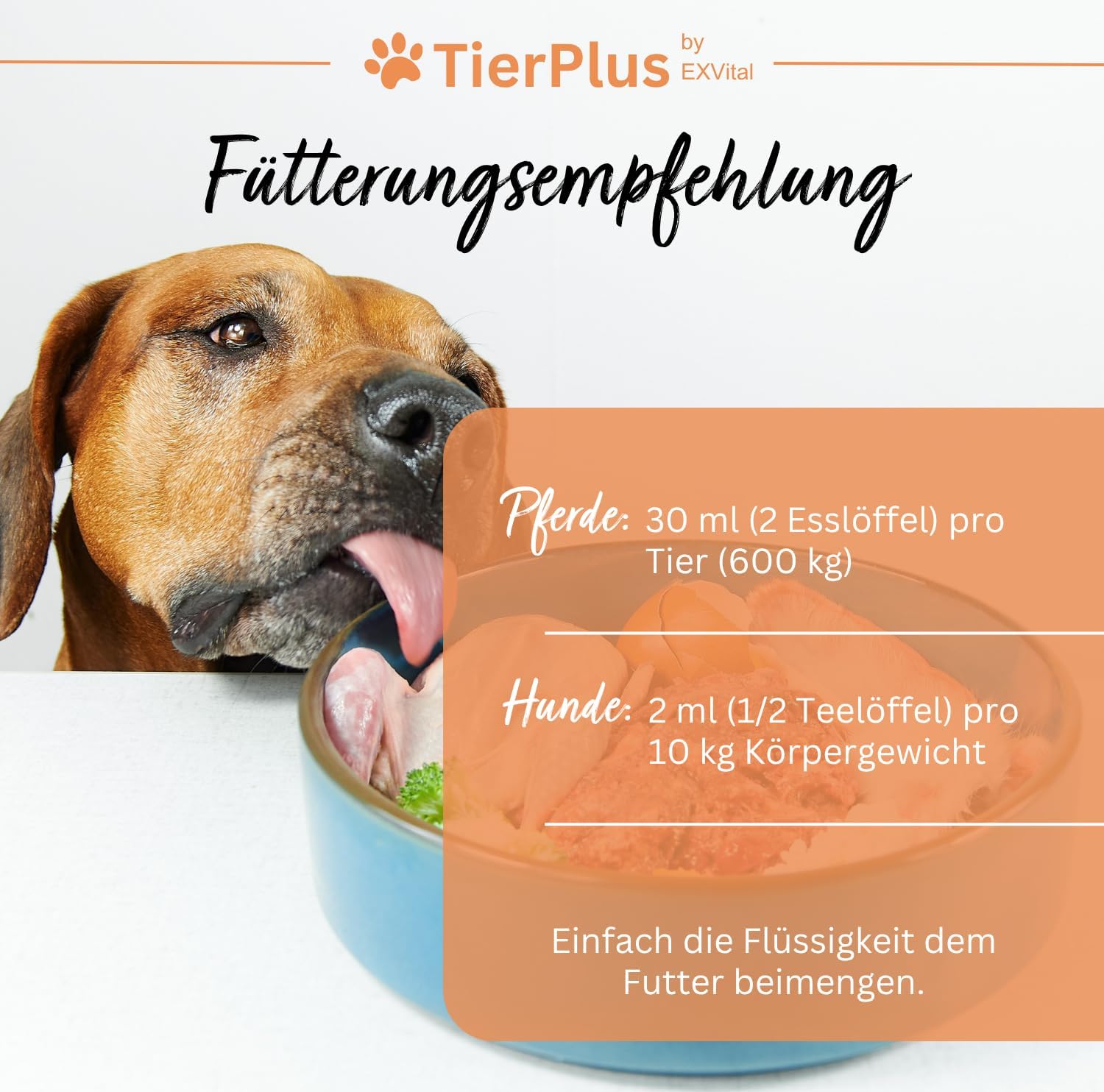 Thumbnail 6 de TierPlus Barf Futteröl für Hunde & Pferde – 1000 ml
