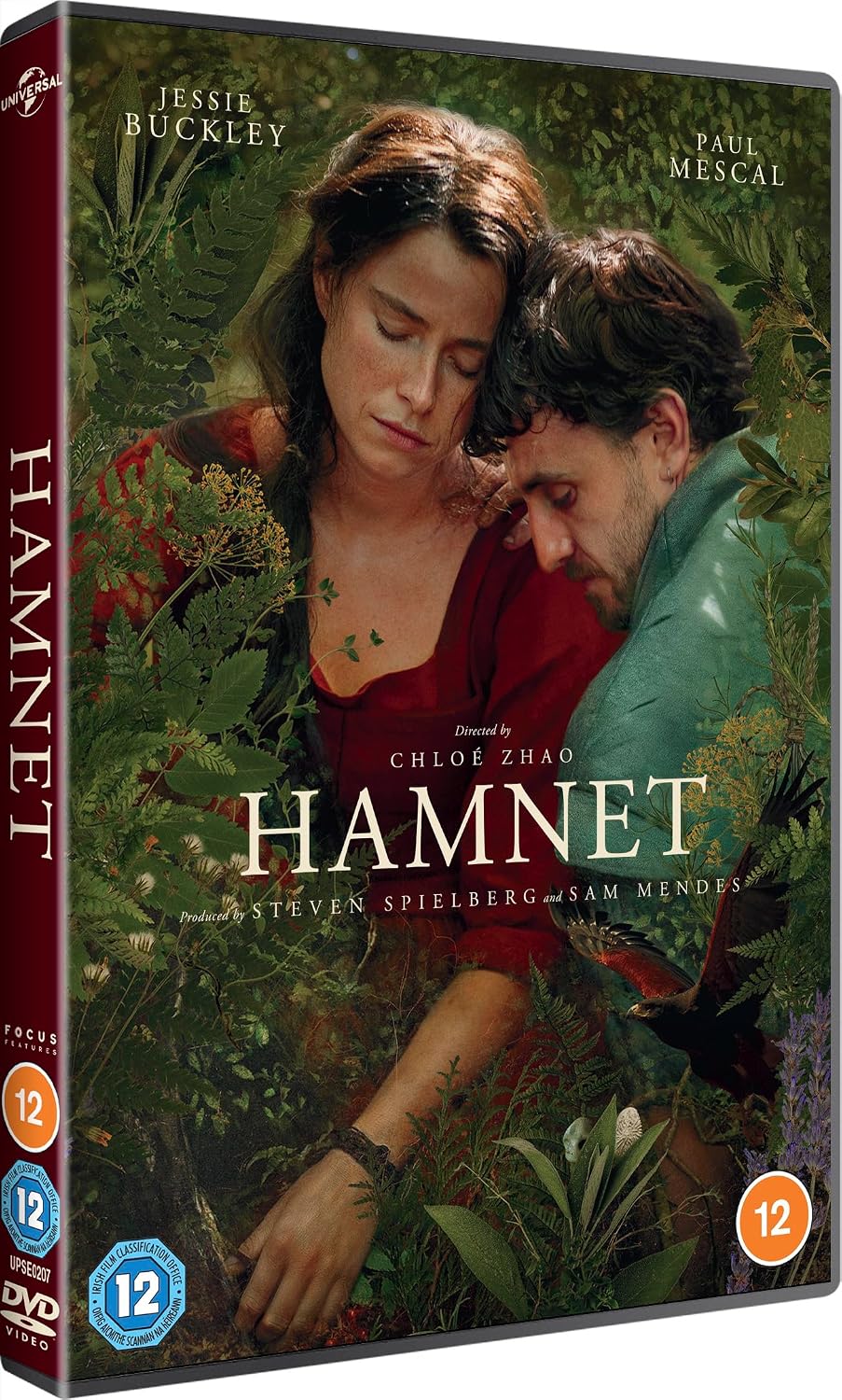 Thumbnail 2 de Hamnet [DVD] by Universal — A thoughtful family drama on disc