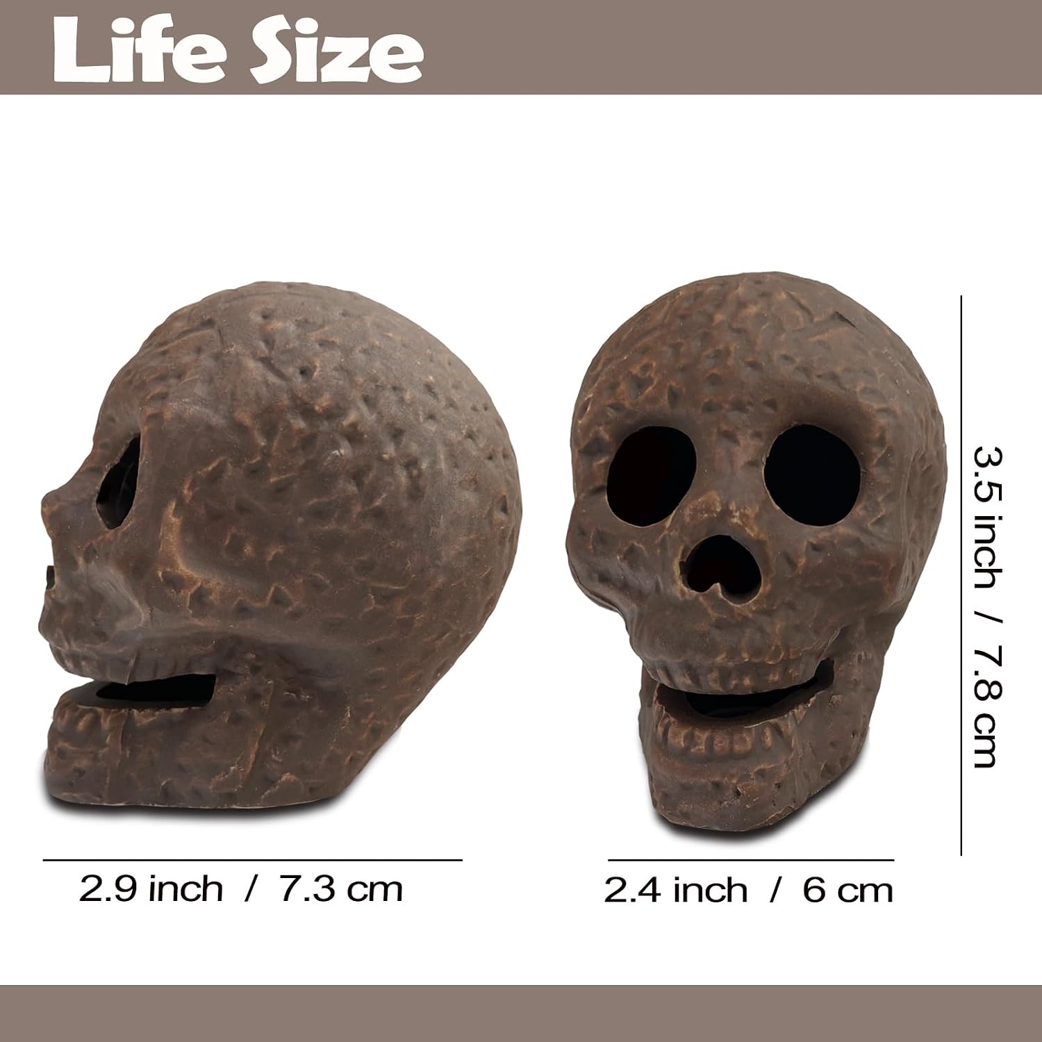Detalle 1 de CAAHANJIA Ceramic Skull Decor, Light Brown