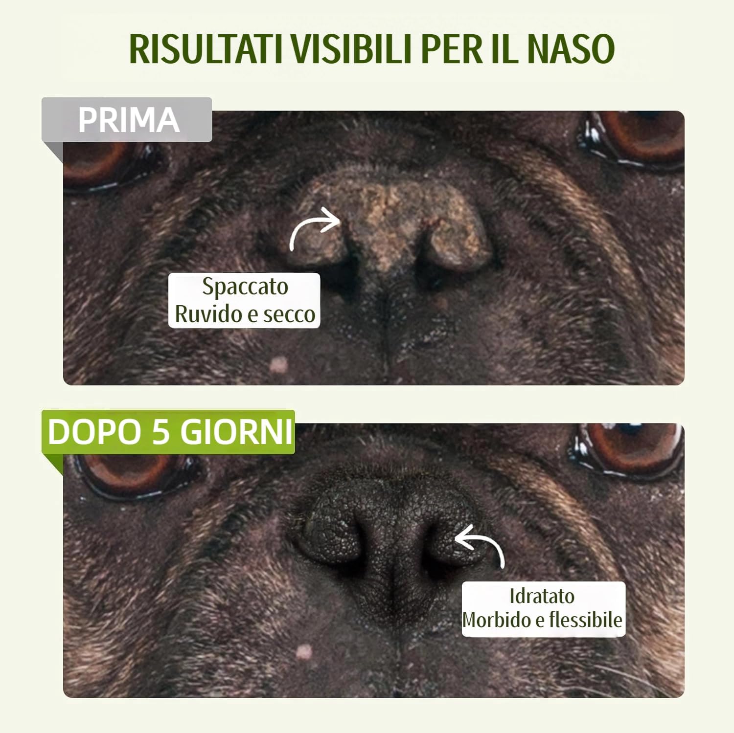Detalle de Balsamo per il naso biologico per animali domestici di GJYC PET – lenitivo naturale per nasi secchi e screpolati