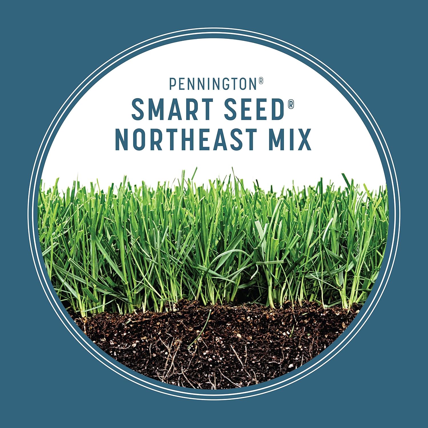 Thumbnail 3 de Pennington Grass Seed 7 lb