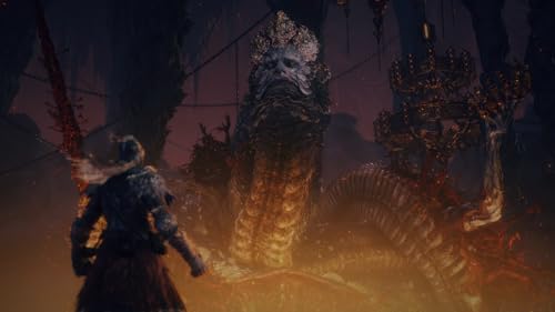 Detalle de Elden Ring: Tarnished Edition (Nintendo Switch 2) – A pragmatic look