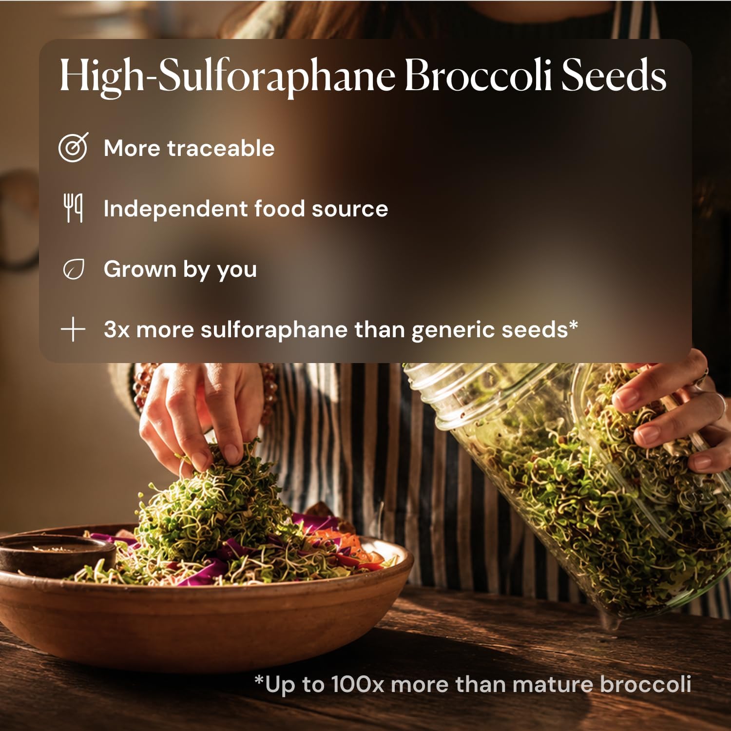 Detalle de The Sprouting Company Jar Sprouting Kit with Organic Broccoli Seeds, Stand & Filter