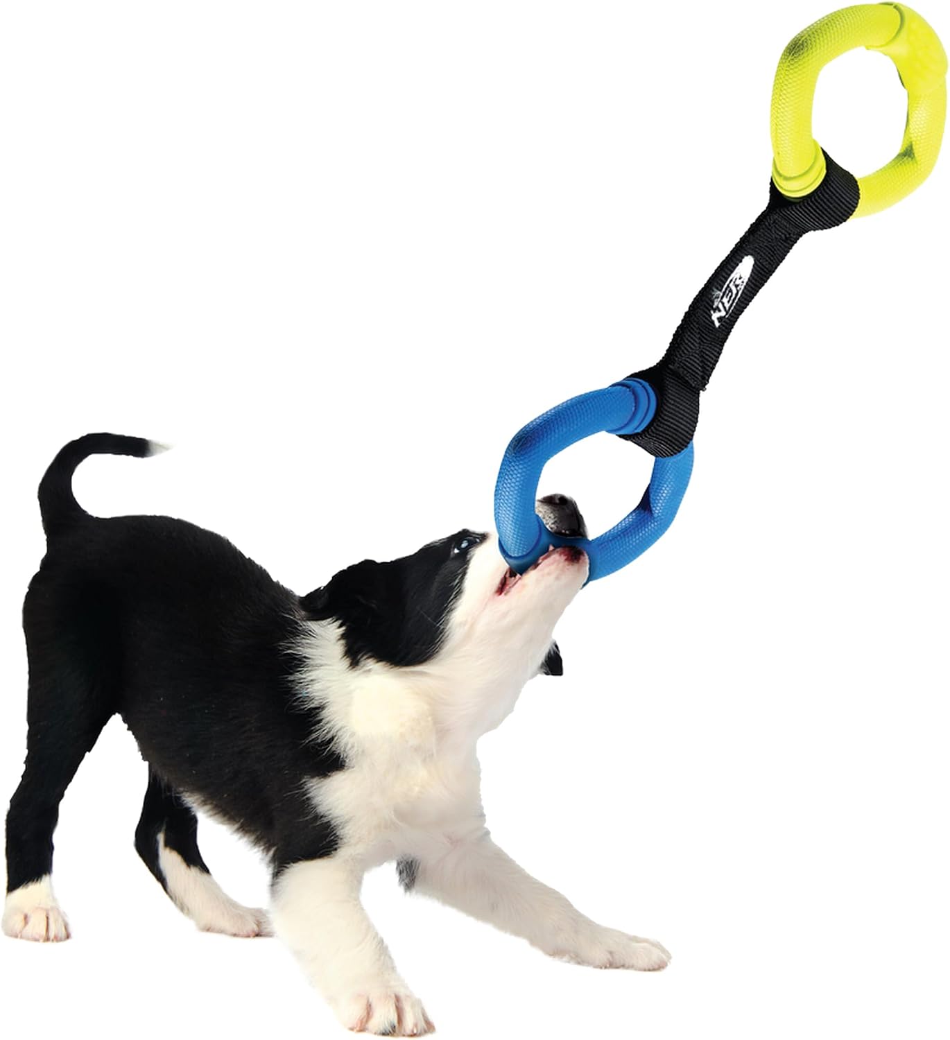 Detalle de Nerf Dog trekspeelgoed met rubberen ringen en nylon band