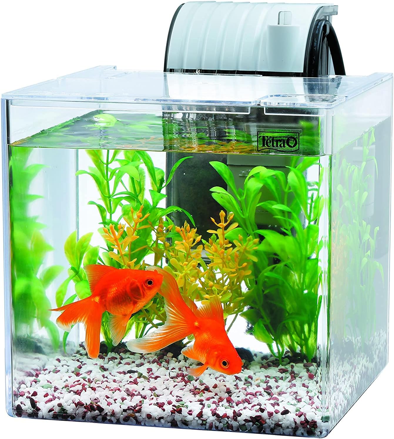 Thumbnail 4 de テトラ SF-17KF プラスチック水槽 メダカ飼育セット 5L・静かなフィルター付き