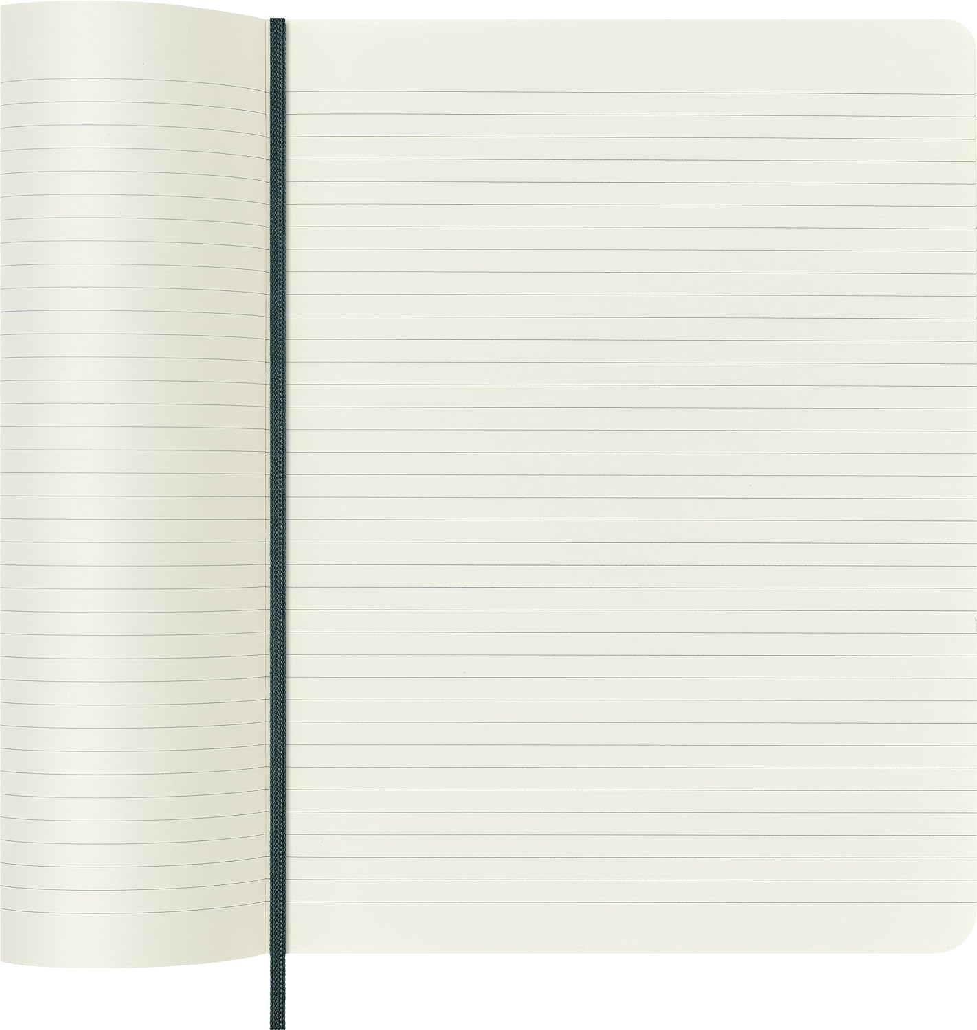 Thumbnail 4 de Moleskine Precious & Ethical Notizbuch (XL, 19×25 cm) mit Geschenkbox – grün, veganer Einband mit Python-Effekt