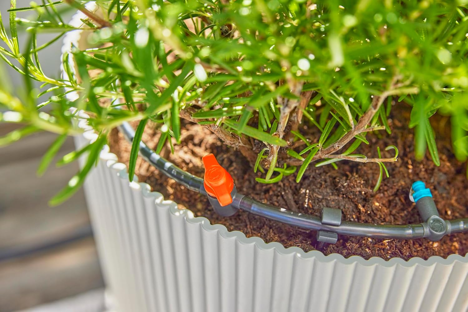 Thumbnail 6 de Gardena Micro-Drip-System Drip Irrigation Set Terrace (30 plants) – Starter Kit