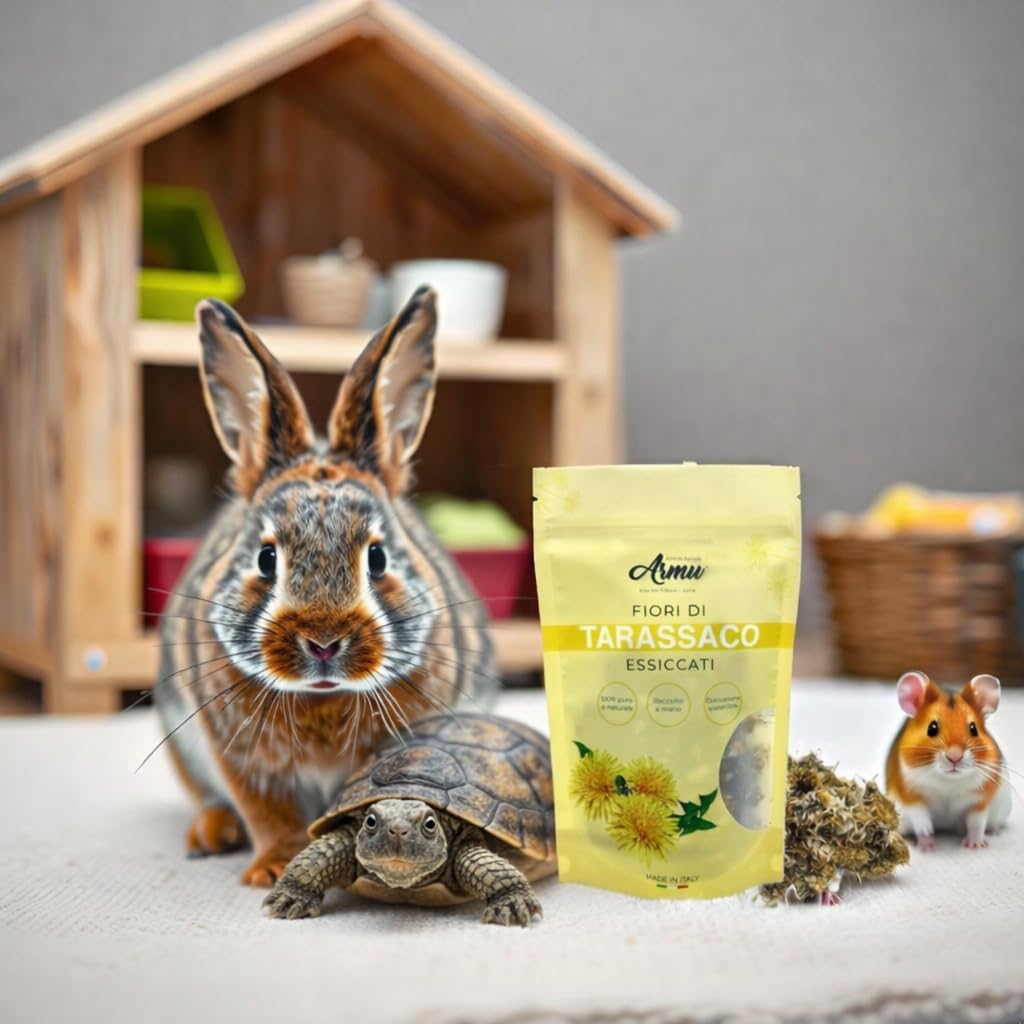 Detalle de Armu – Fiori di Tarassaco Essiccati 20 g: Tarassaco di origine italiana, per tisane naturali