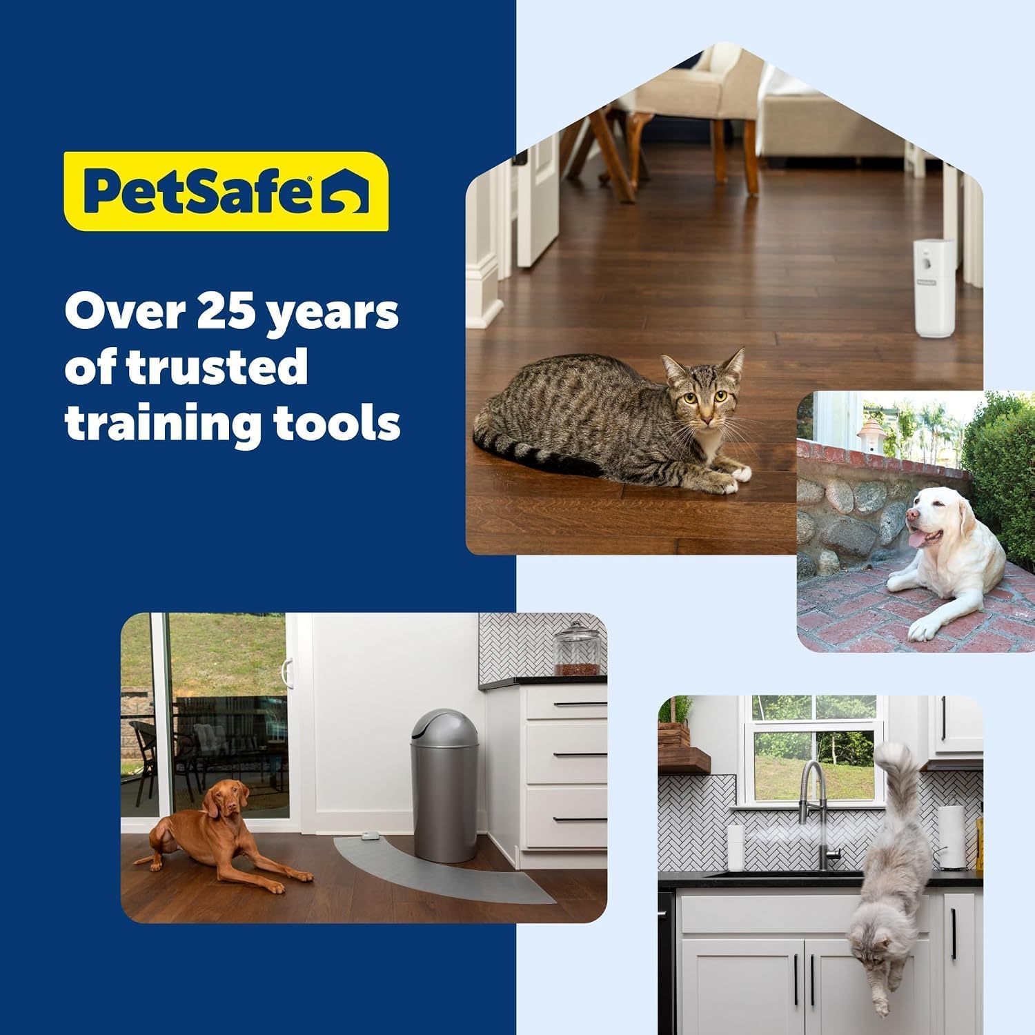 Thumbnail 6 de PetSafe Indoor Training Mat