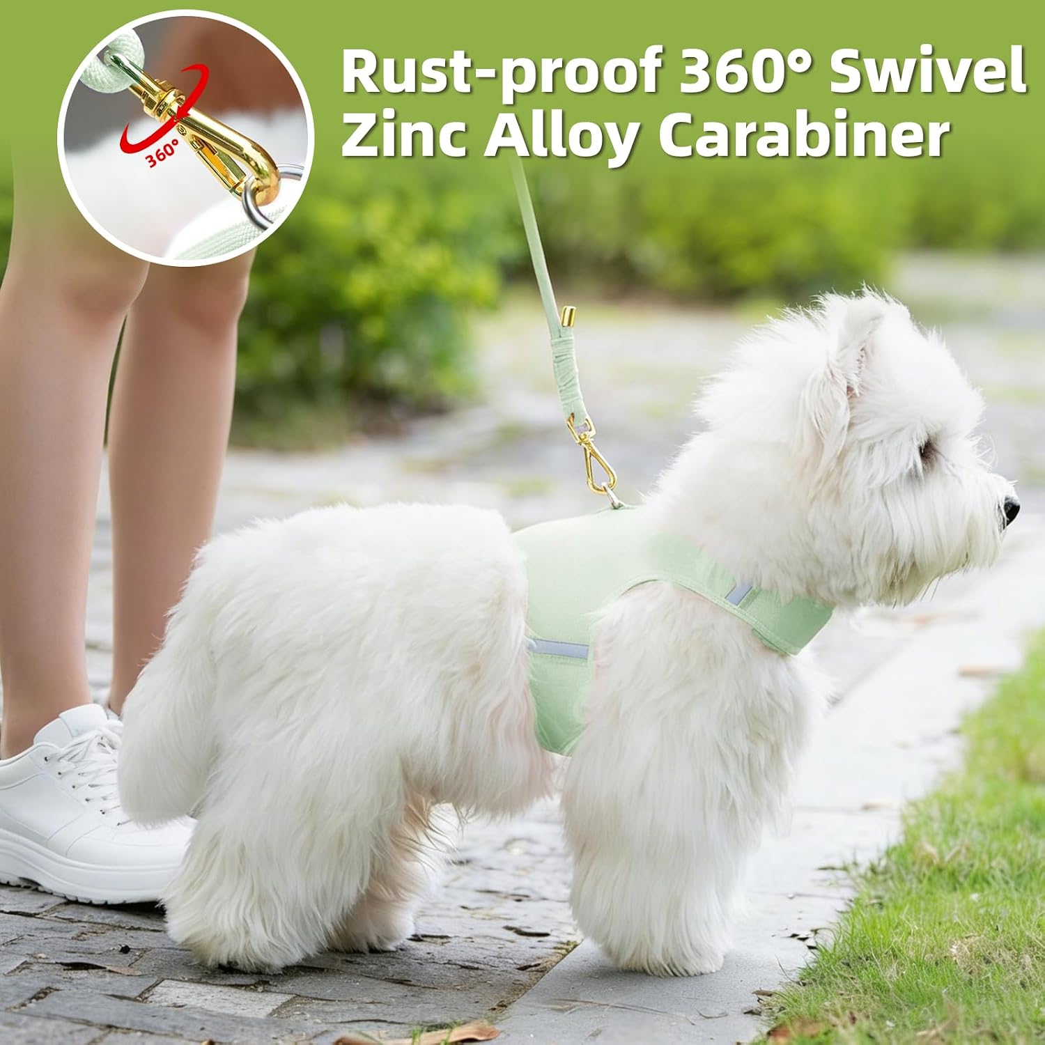 Thumbnail 5 de Sunraymascota Dog Leash, 5FT