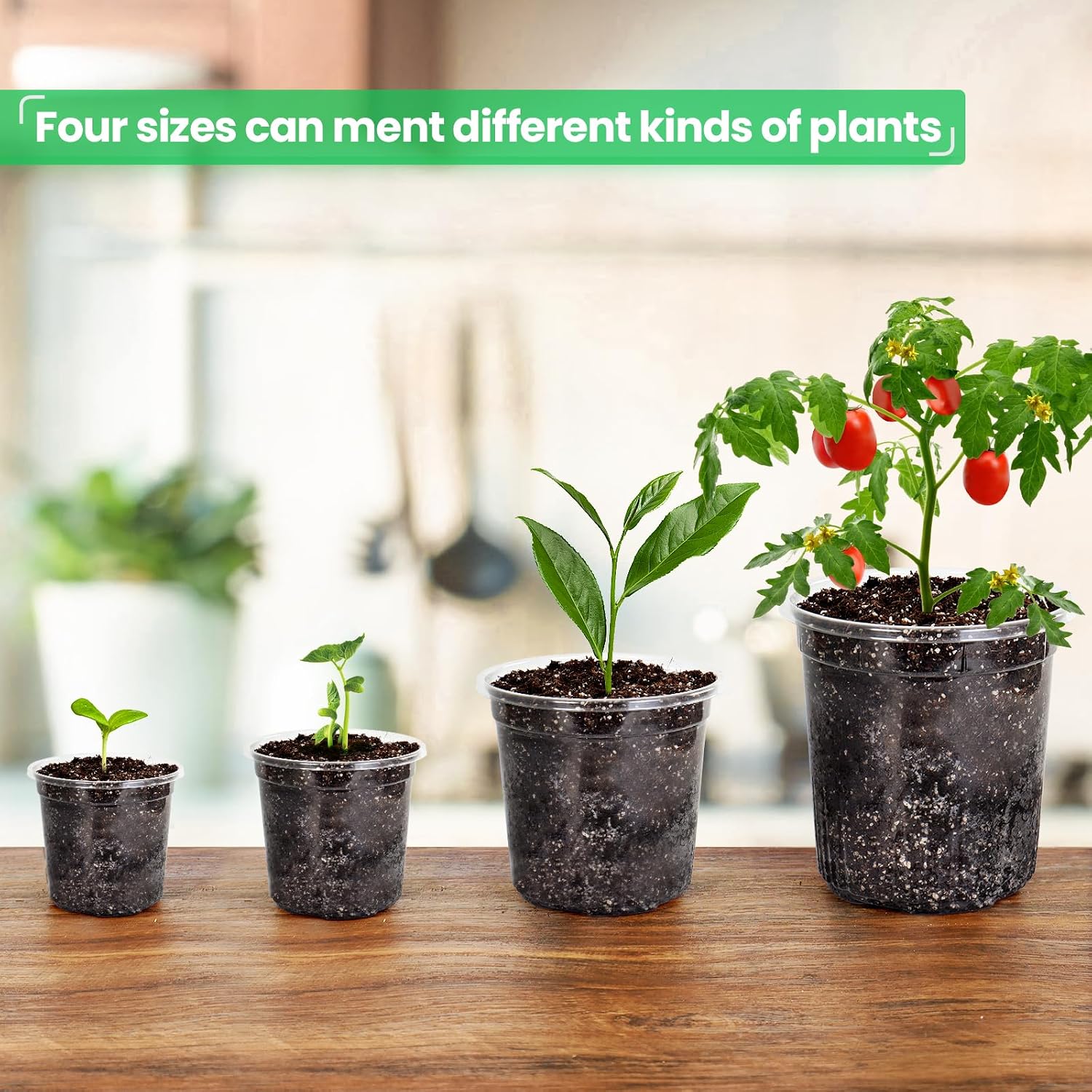 Thumbnail 5 de Bluepro Clear Nursery Pots, 36-Pack in Four Sizes with Drainage Holes