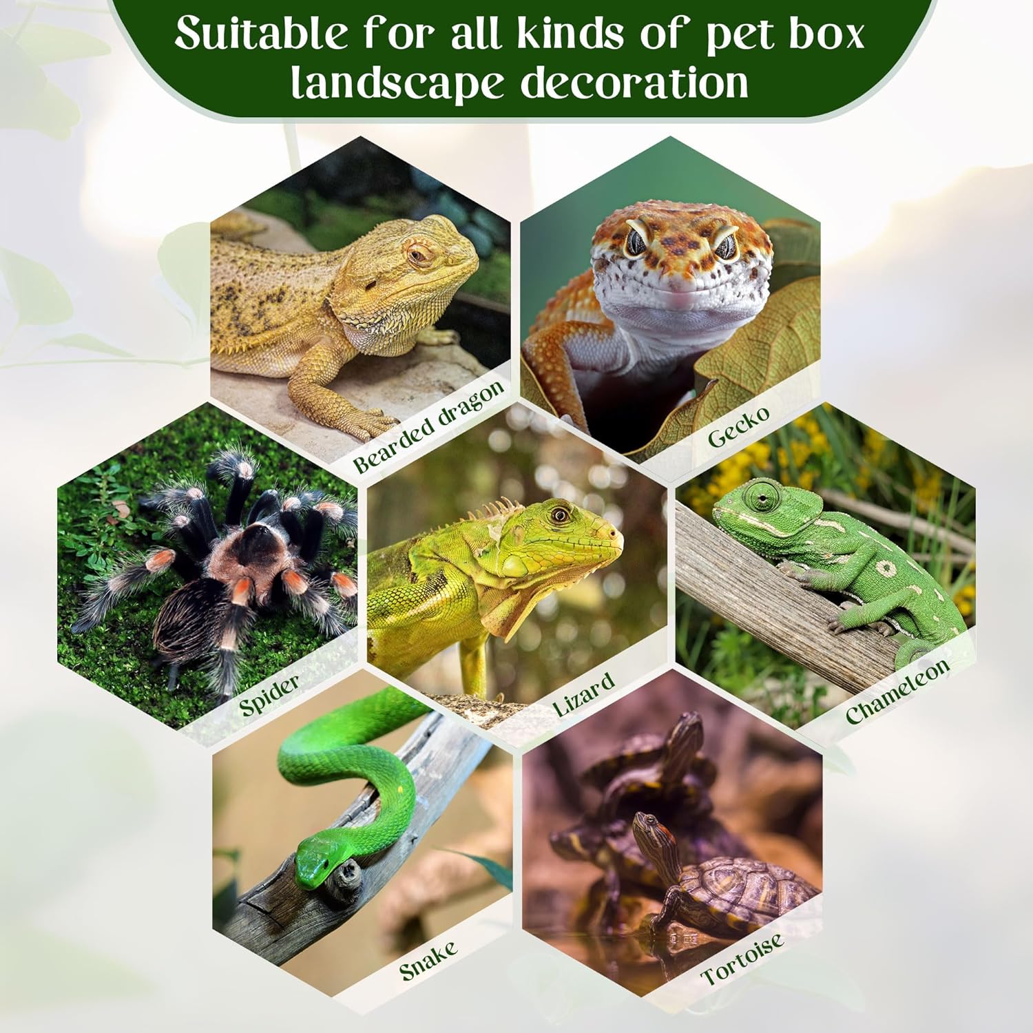 Detalle 2 de Filhome Reptile Plants for Terrarium: Realistic Artificial Plant with Weighted Base